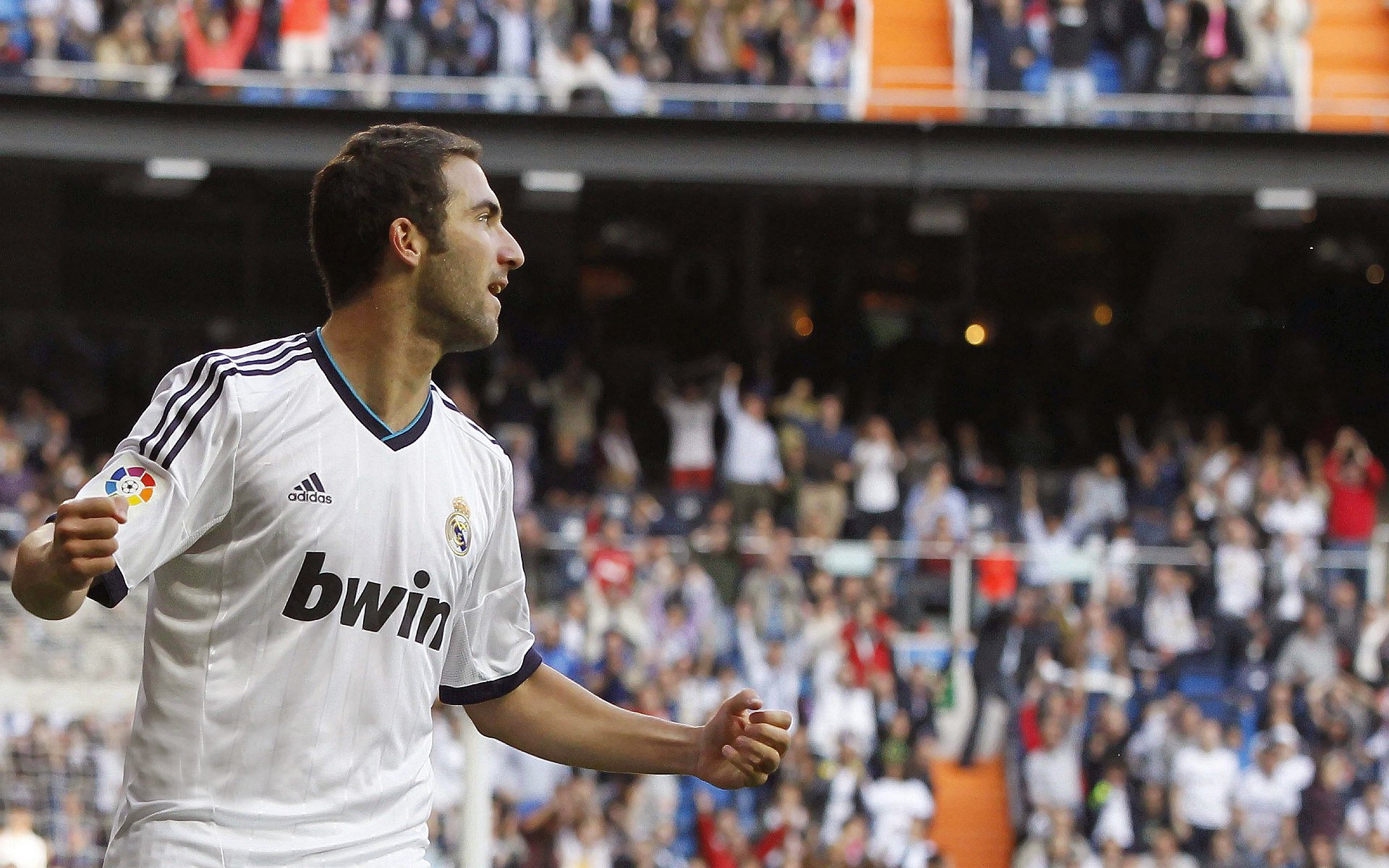 乐鱼体育在线登陆-德甲球场周边经济贡献评估与城市联动价值，德甲球队城市分布