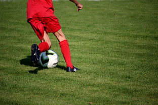 乐鱼体育app网址-篮球运动员心理韧性培养及心理干预体系，篮球运动员的心理训练