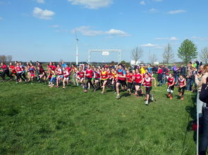 乐鱼体育网址入口-青少年体育兴趣培养的社会支持研究，培养青少年体育爱好基本实现青少年熟练掌握一项