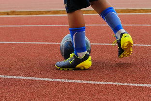 乐鱼体育app官网入口-校园足球缺乏横向联赛结构支撑，我国校园足球训练存在的问题